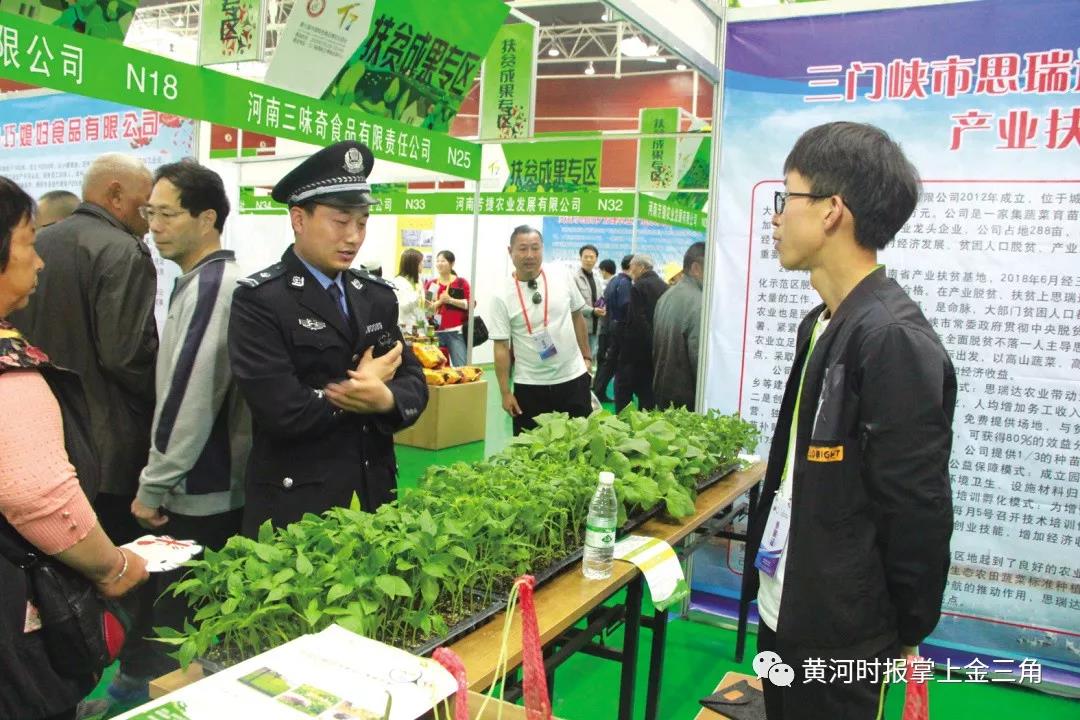 高新科技、扶贫成果、创意工艺……三门峡这届特博会很有“料”